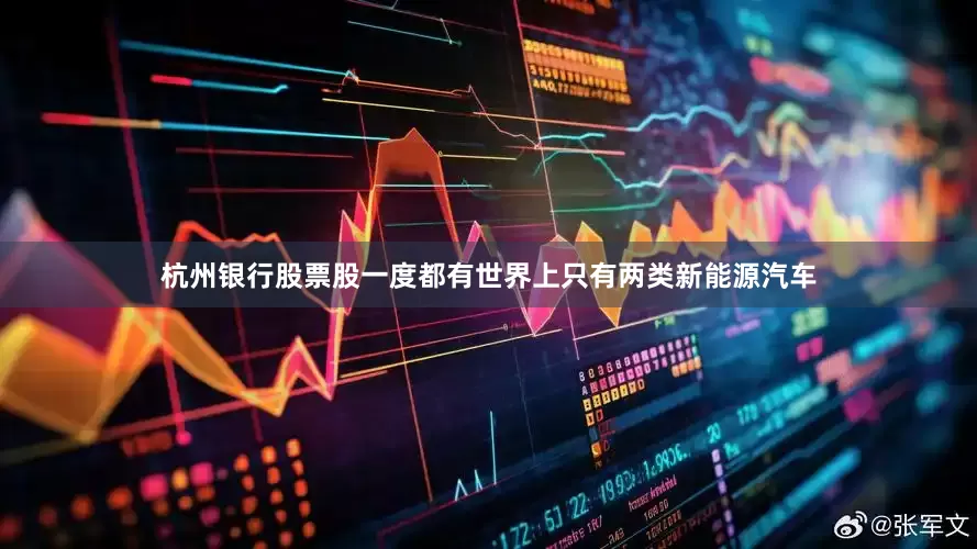 杭州银行股票股一度都有世界上只有两类新能源汽车