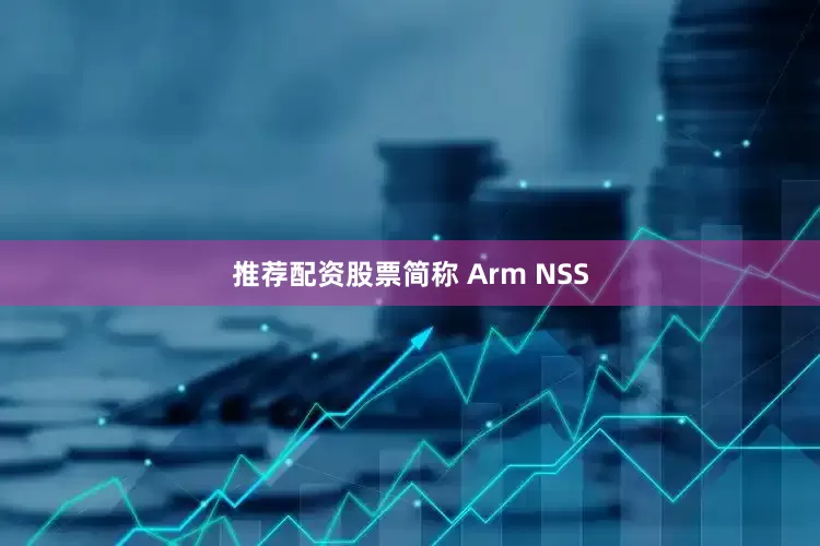 推荐配资股票简称 Arm NSS