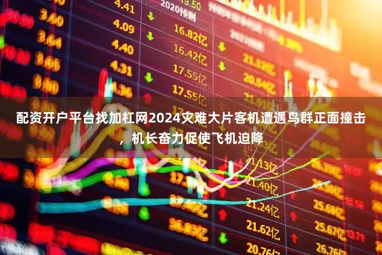 配资开户平台找加杠网2024灾难大片客机遭遇鸟群正面撞击，机长奋力促使飞机迫降